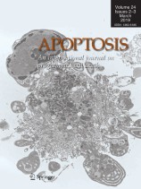 Apoptosis_volume