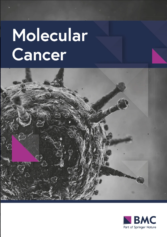 Apoptosis_volume