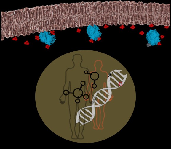 research-lab-logo